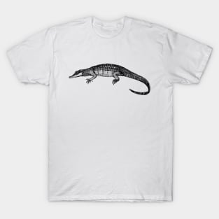 Alligator T-Shirt